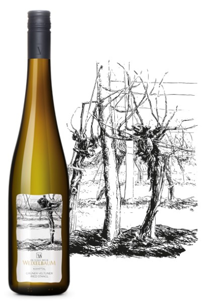 Weixelbaum, Grüner Veltliner DAC Strass 2022 - Bio, Kamptal