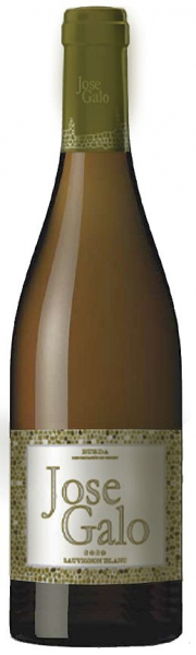 Bodegas Rueda Perez, Jose Galo Sauvignon Blanc 2021, Valladolid