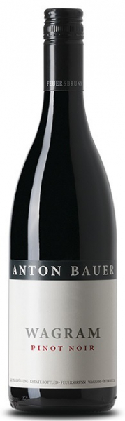 Bauer Anton, Pinot Noir 2019, Wagram