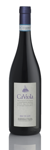 Ca Viola, Barbera d'Alba "Bric du Luv" 2016, Piemont