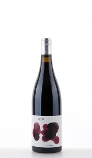 Portal del Priorat, Gotes 2013, Priorat
